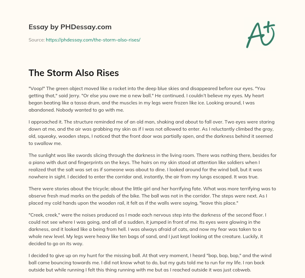 The Storm Also Rises essay