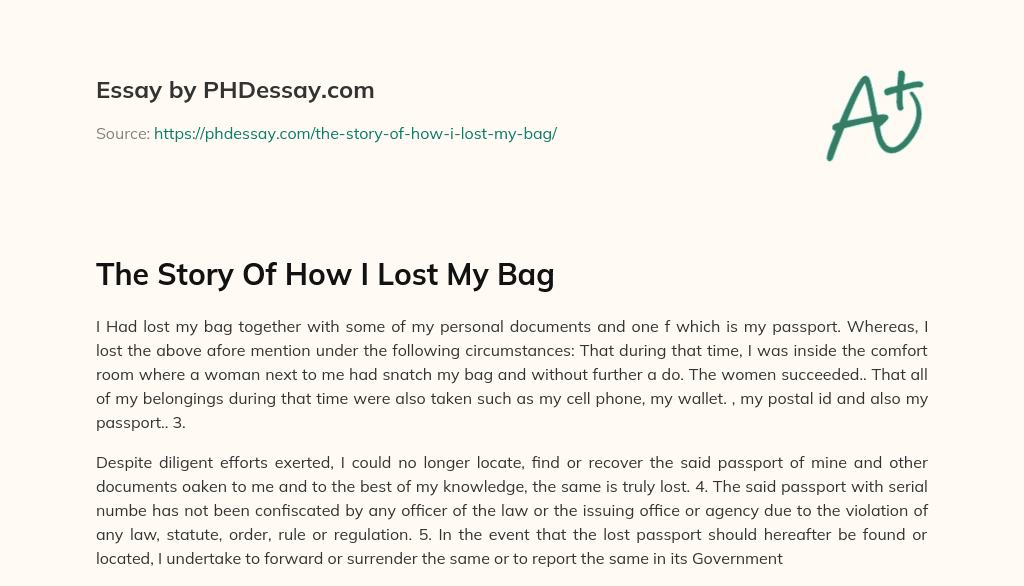 The Story Of How I Lost My Bag essay