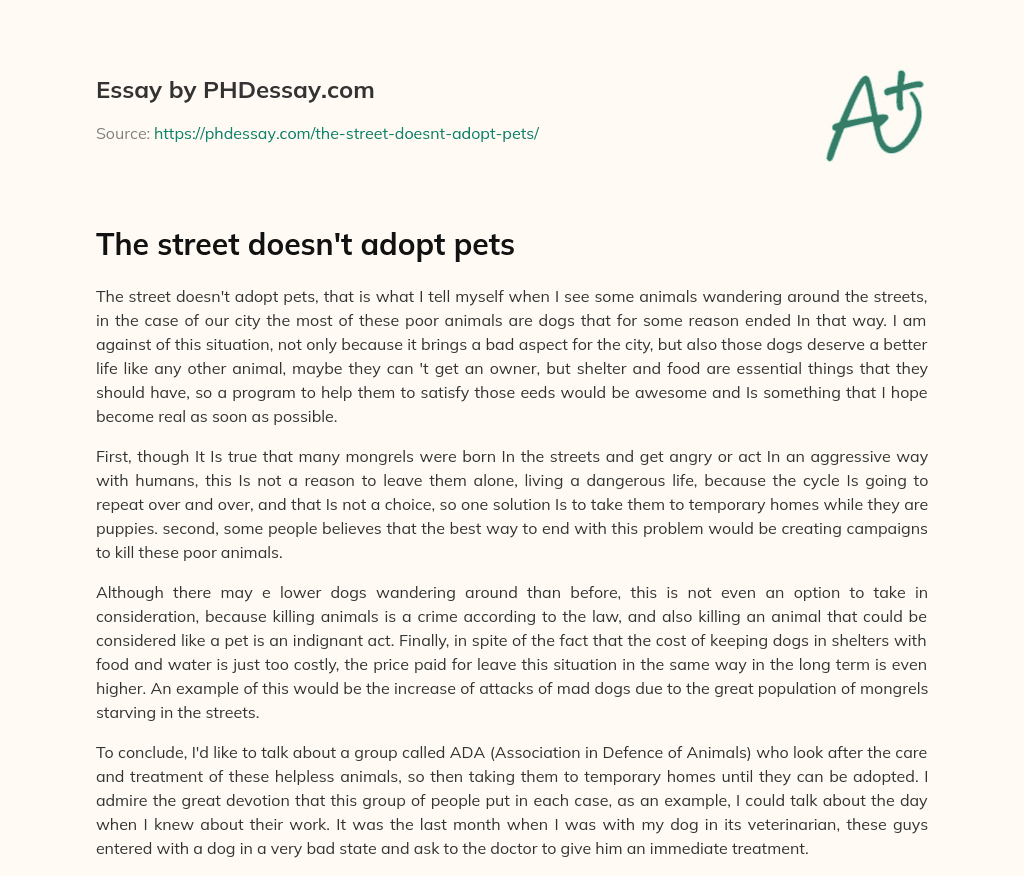 The street doesn’t adopt pets essay