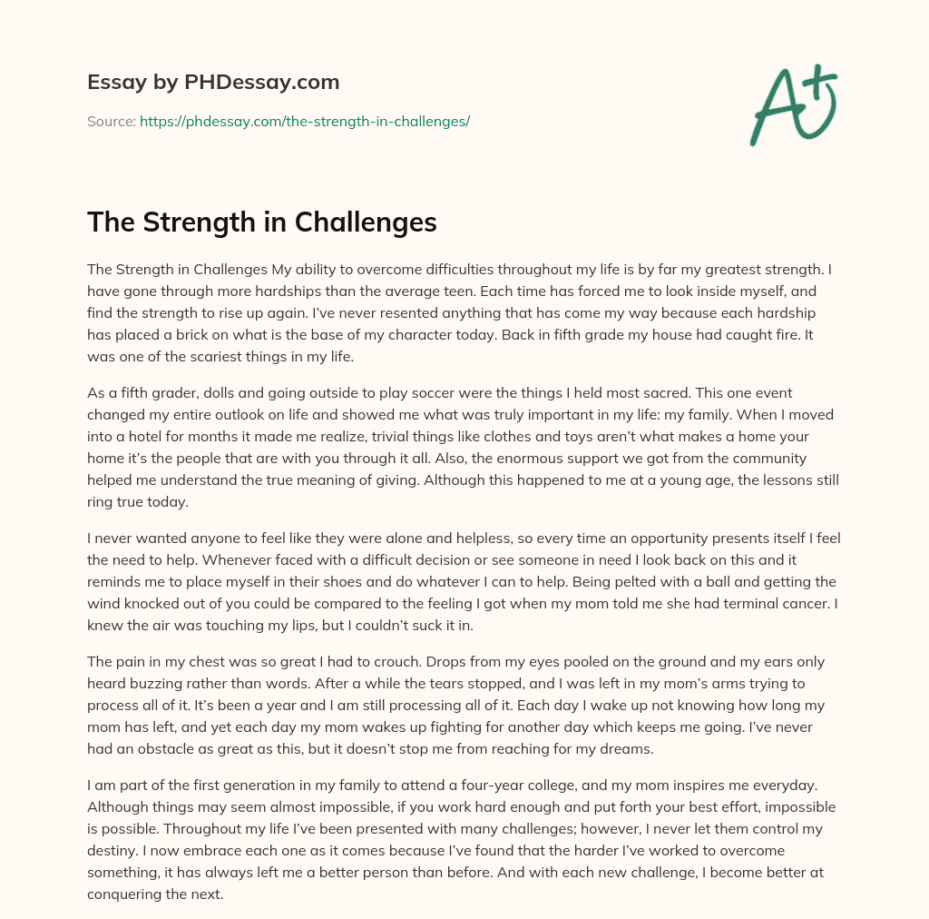 The Strength in Challenges essay