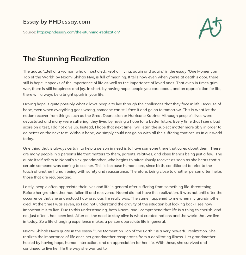 The Stunning Realization essay