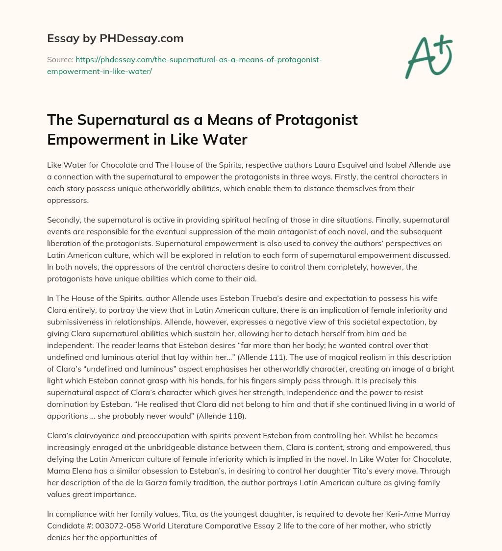 The Supernatural as a Means of Protagonist Empowerment in Like Water essay