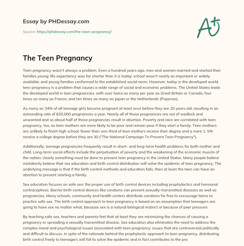 The Teen Pregnancy essay