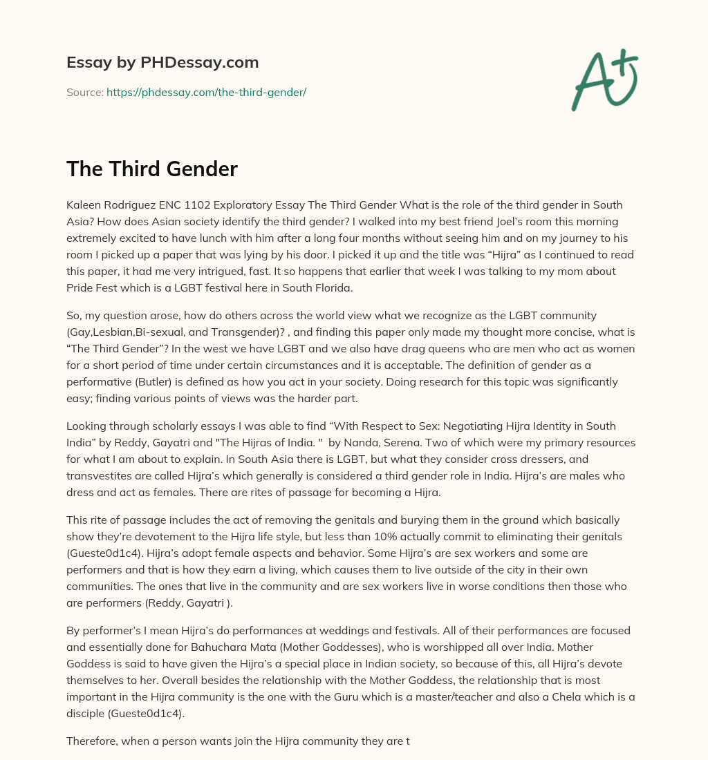 The Third Gender essay