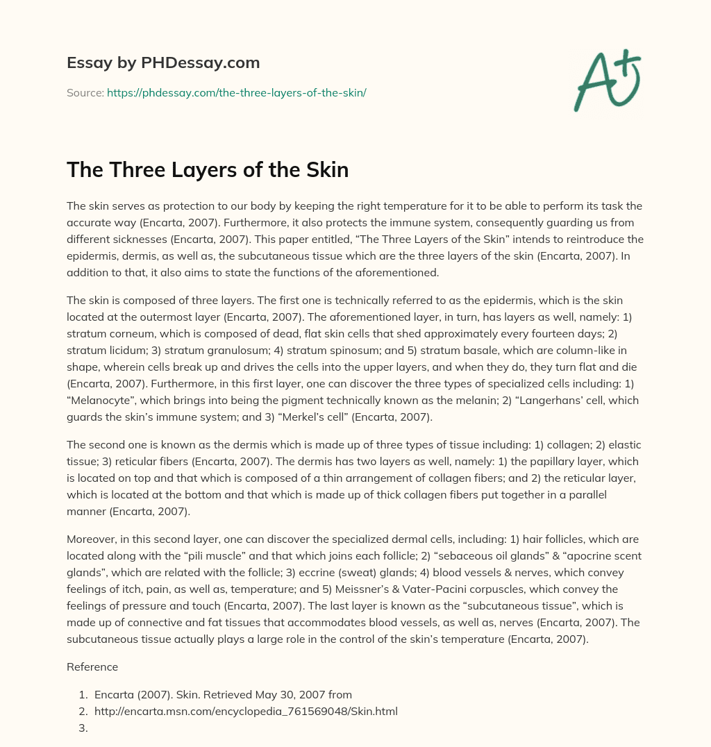 essay about the skin