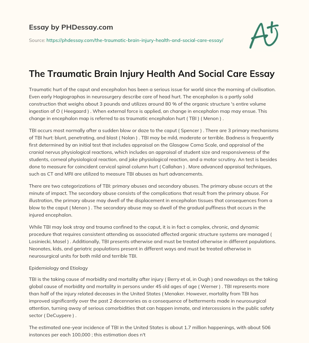 The Traumatic Brain Injury Health And Social Care Essay essay
