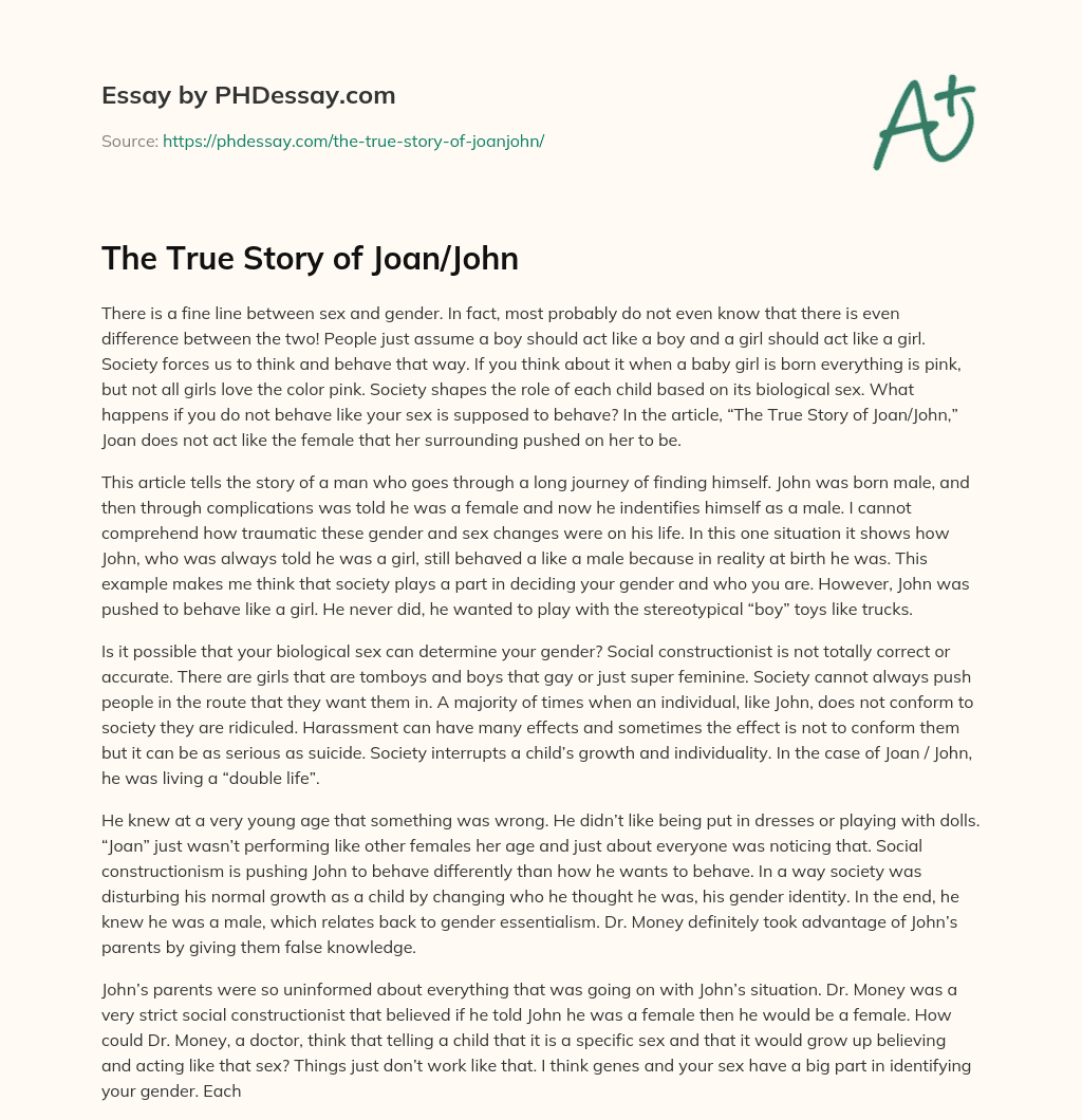 The True Story of Joan/John essay