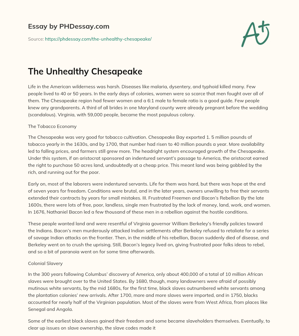 The Unhealthy Chesapeake essay