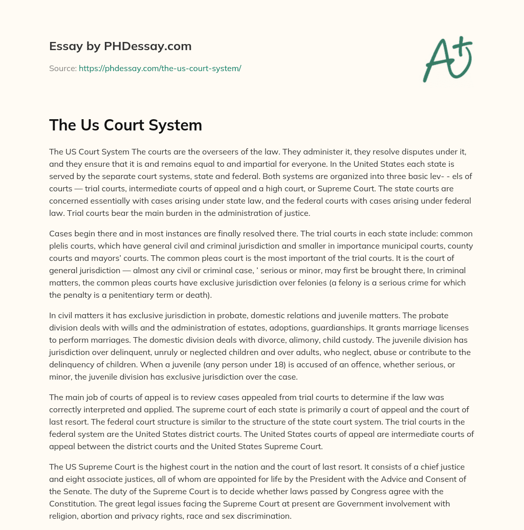 The Us Court System essay