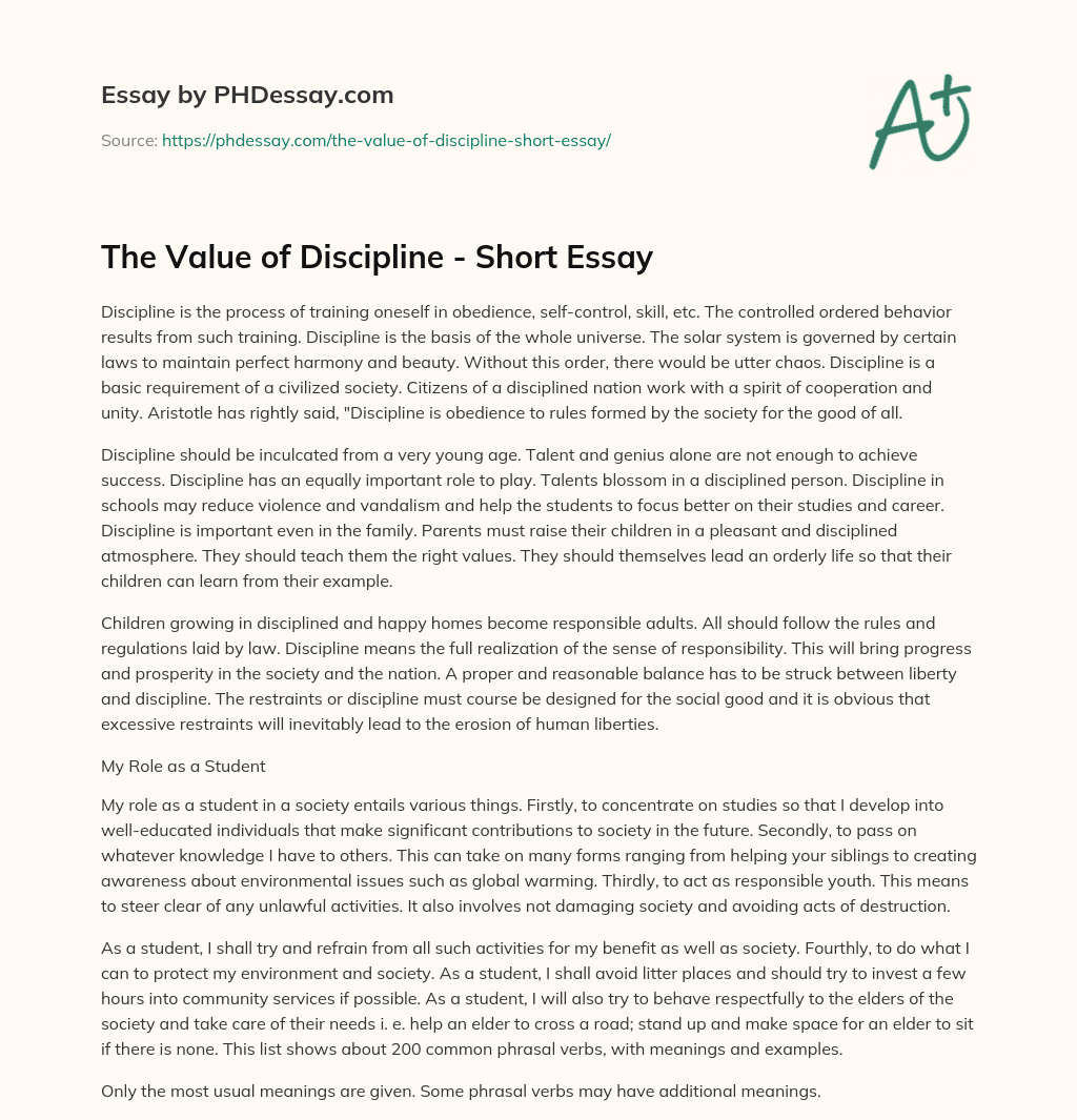 The Value of Discipline – Short Essay essay