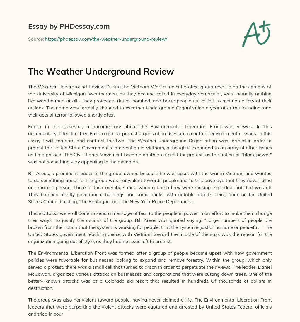 The Weather Underground Review essay