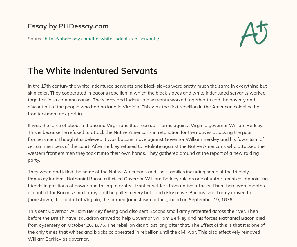 the-white-indentured-servants-300-words-phdessay