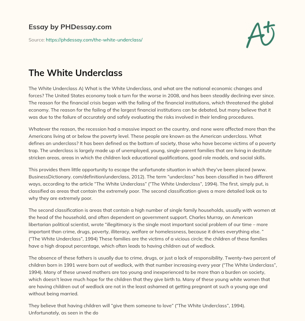 The White Underclass essay