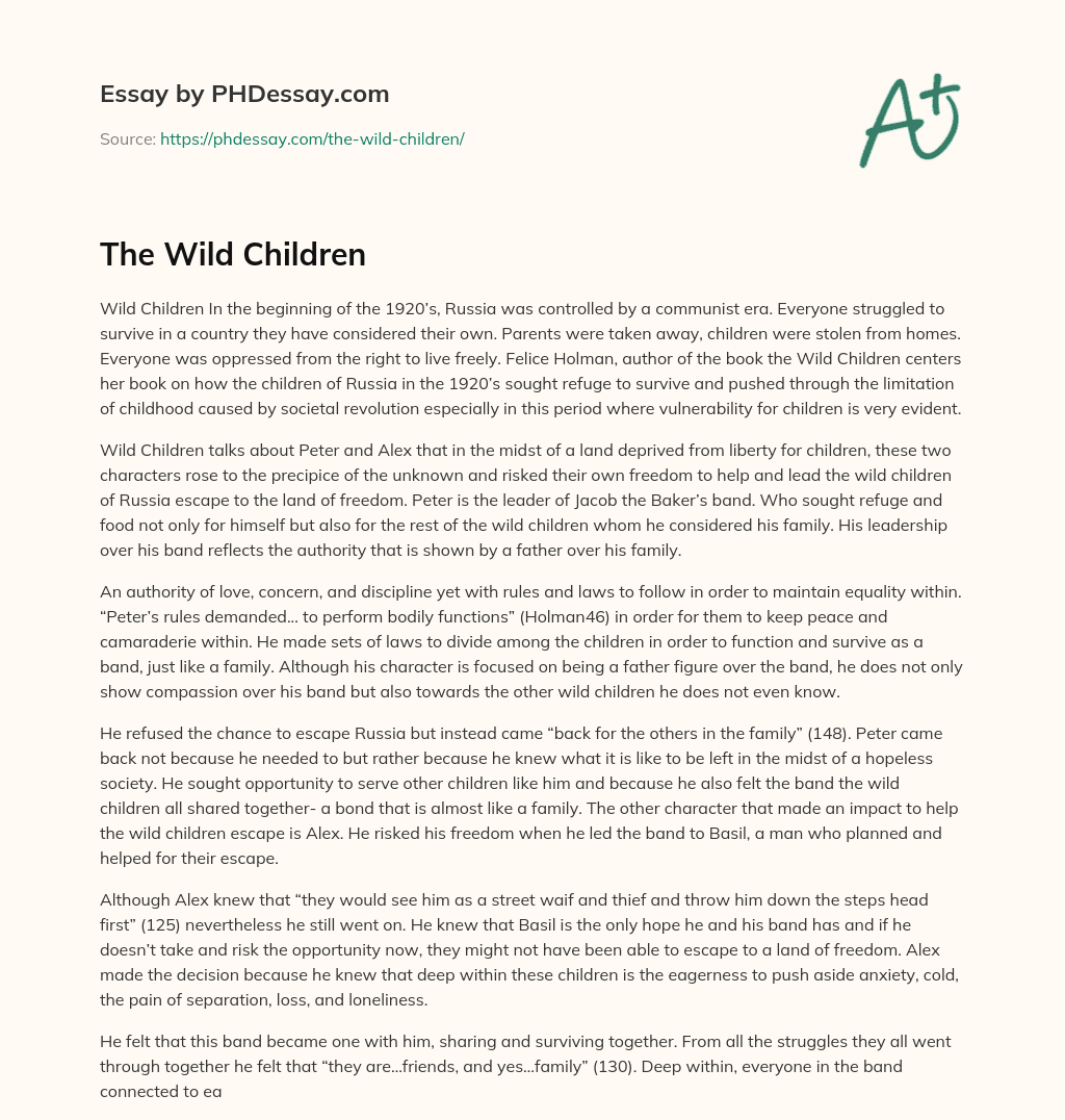 The Wild Children essay