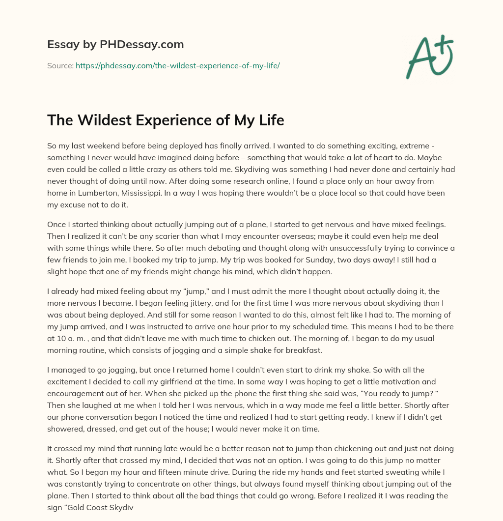 The Wildest Experience of My Life essay