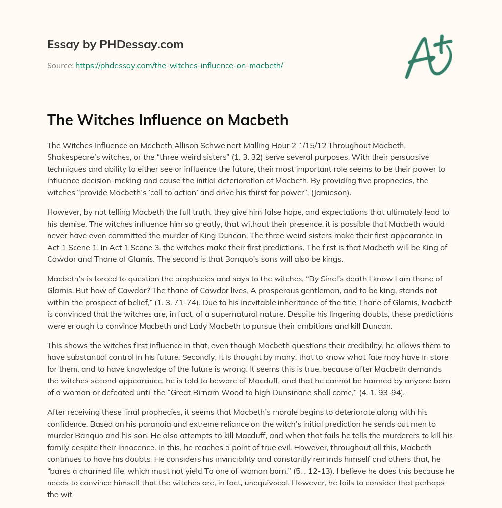 The Witches Influence on Macbeth essay