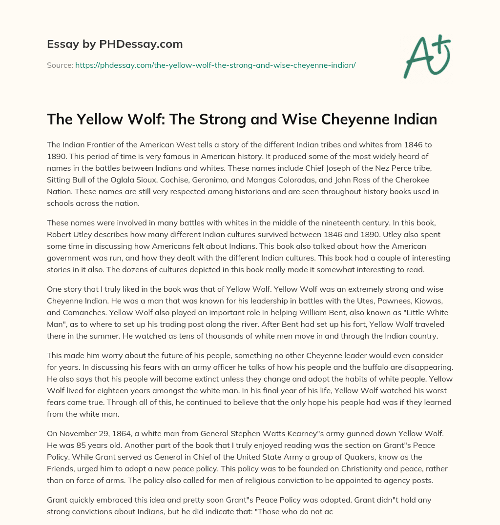 The Yellow Wolf: The Strong and Wise Cheyenne Indian essay