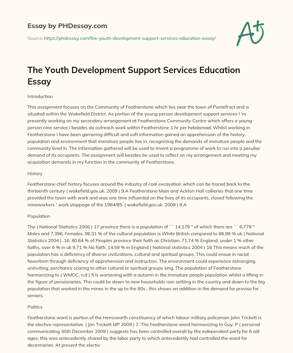 The Youth Development Support Services Education Essay essay