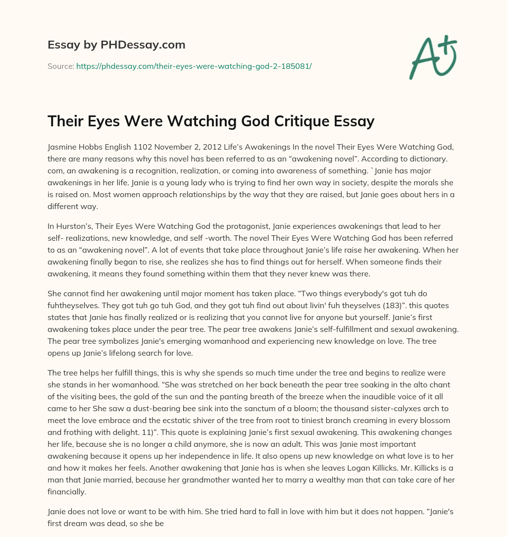 Their Eyes Were Watching God Critique Essay essay