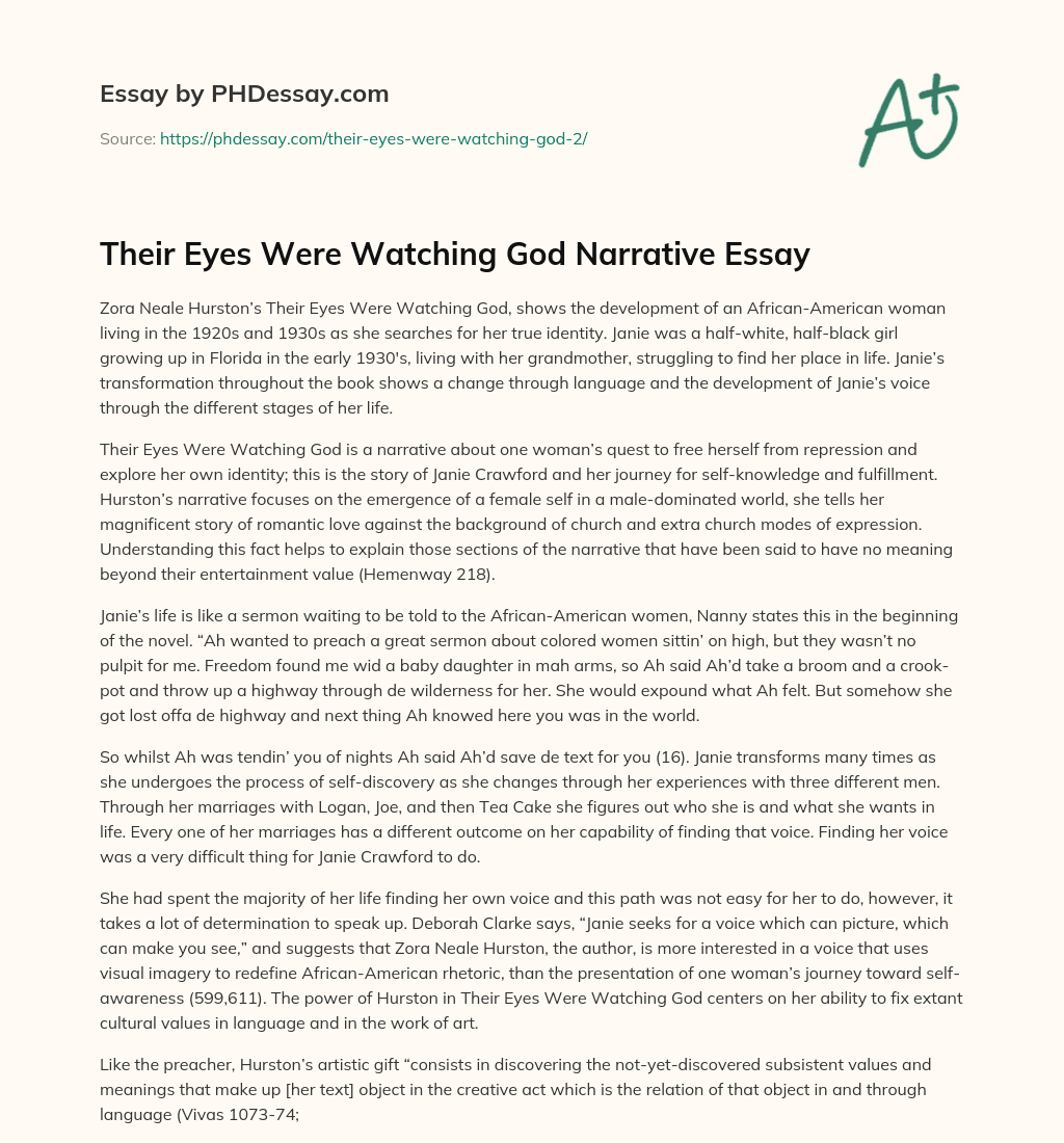 Their Eyes Were Watching God Narrative Essay essay