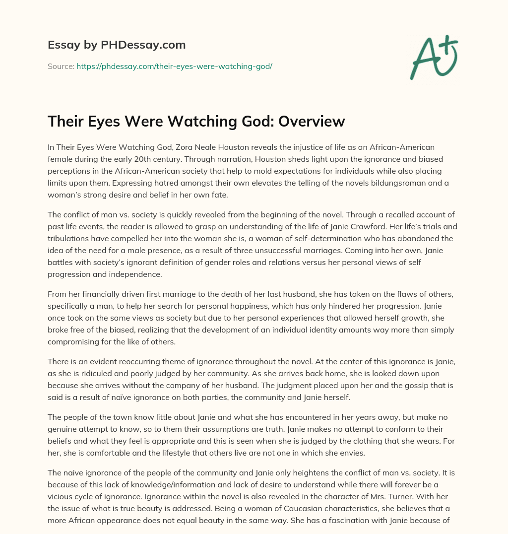 Their Eyes Were Watching God: Overview essay