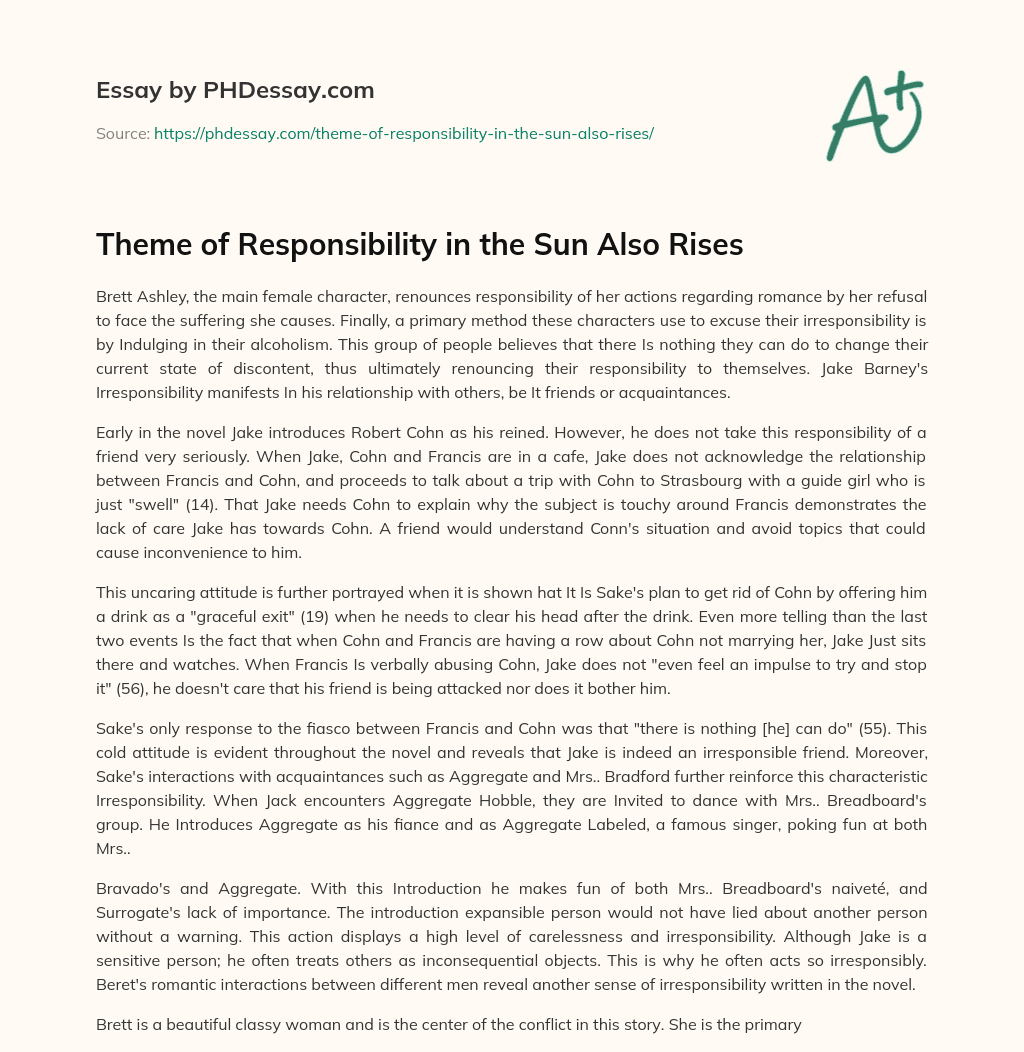Theme of Responsibility in the Sun Also Rises essay