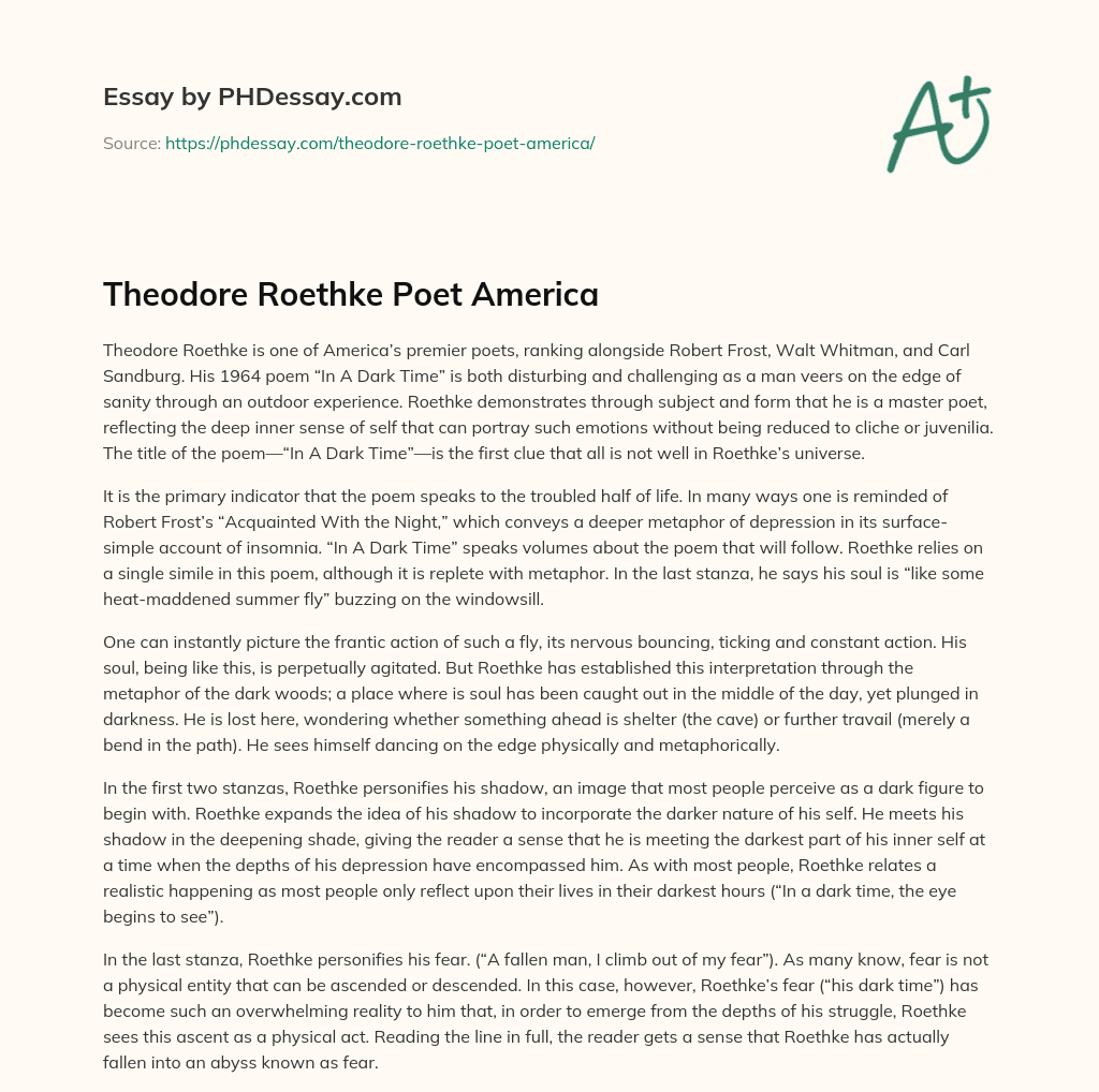 Theodore Roethke Poet America essay