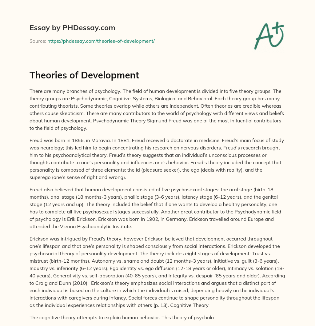 Theories of Development essay