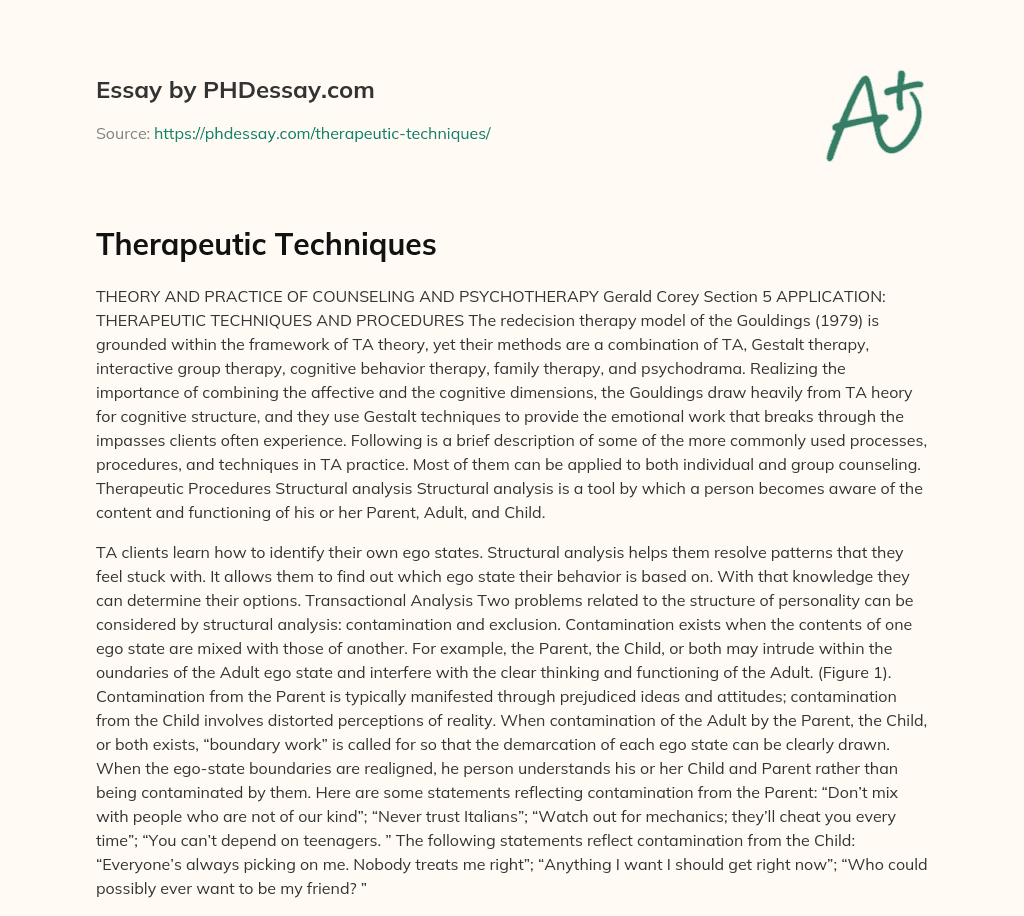 Therapeutic Techniques essay