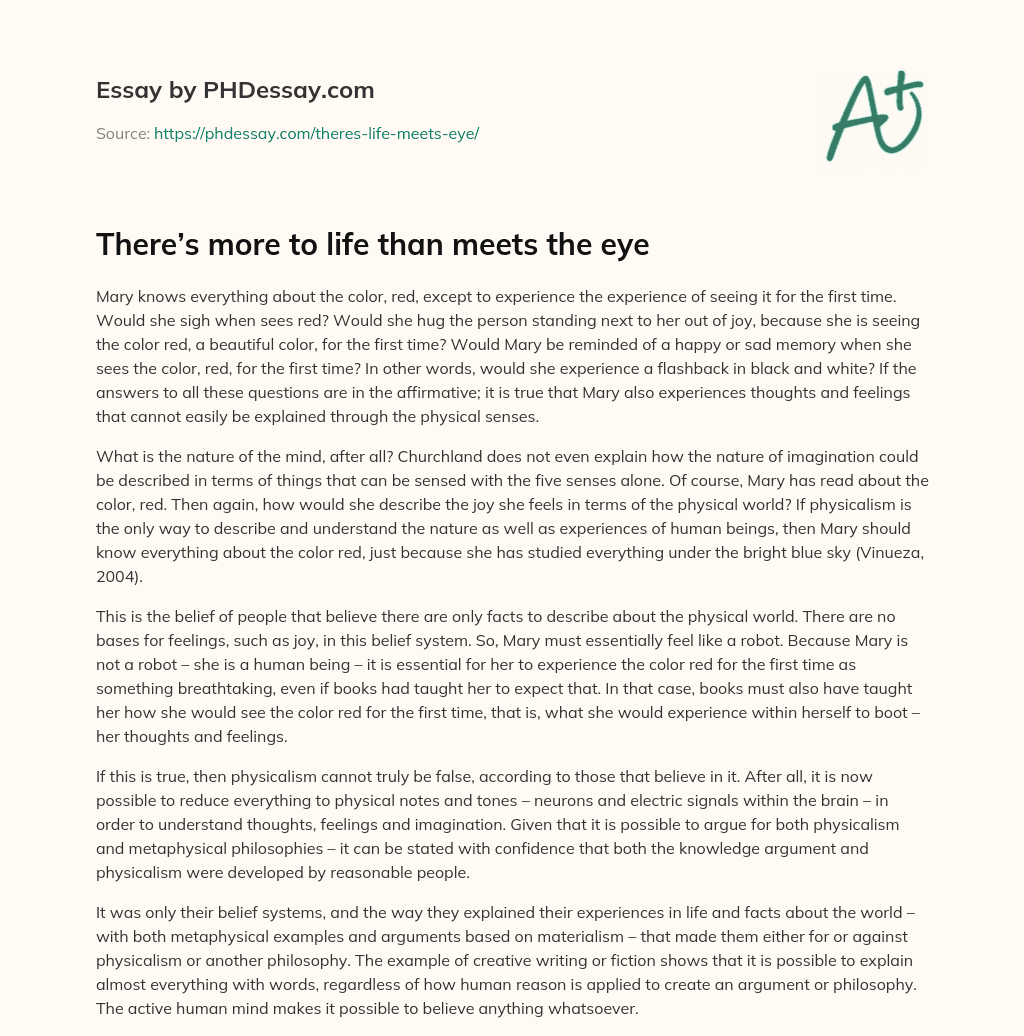 There’s more to life than meets the eye essay
