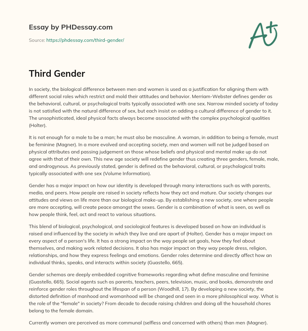 Third Gender essay