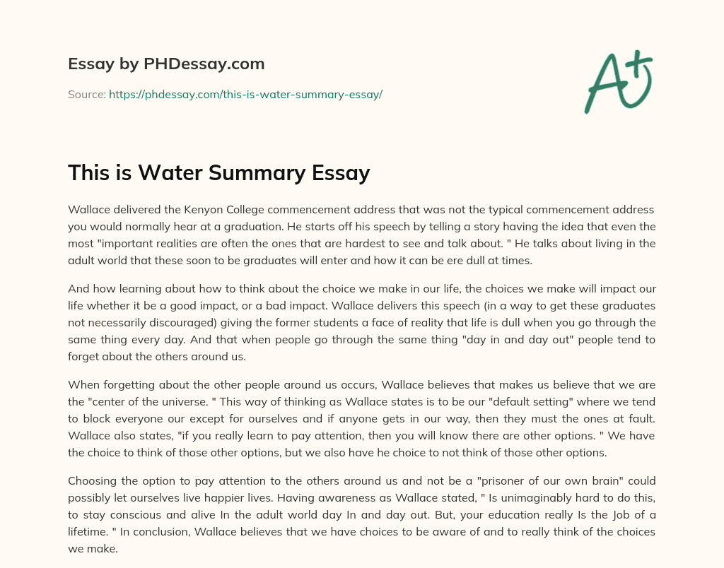 This is Water Summary Essay essay
