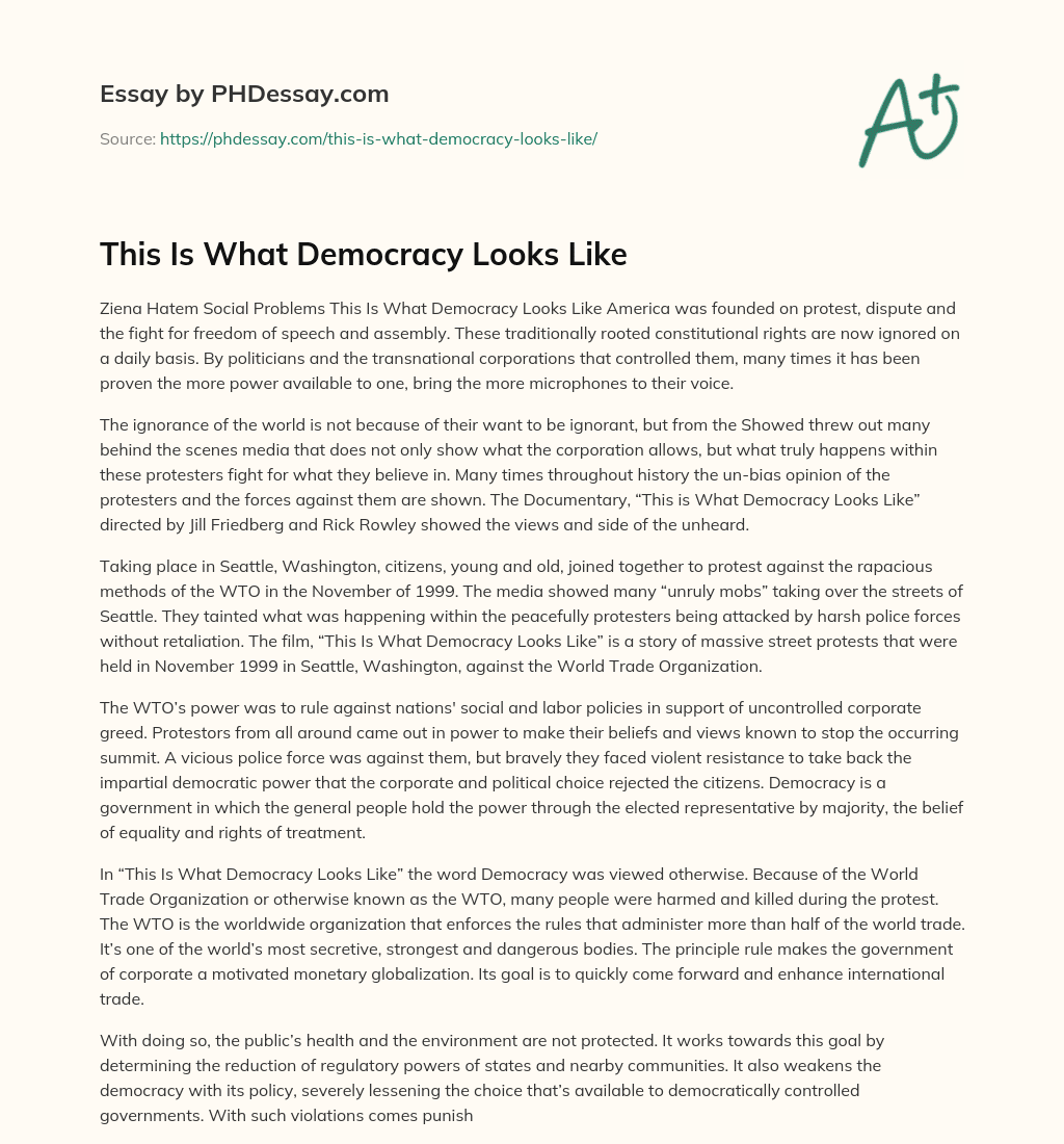 This Is What Democracy Looks Like essay