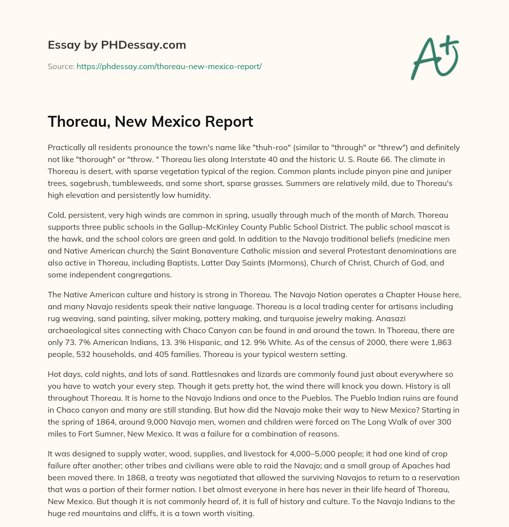 Thoreau, New Mexico Report (500 Words)