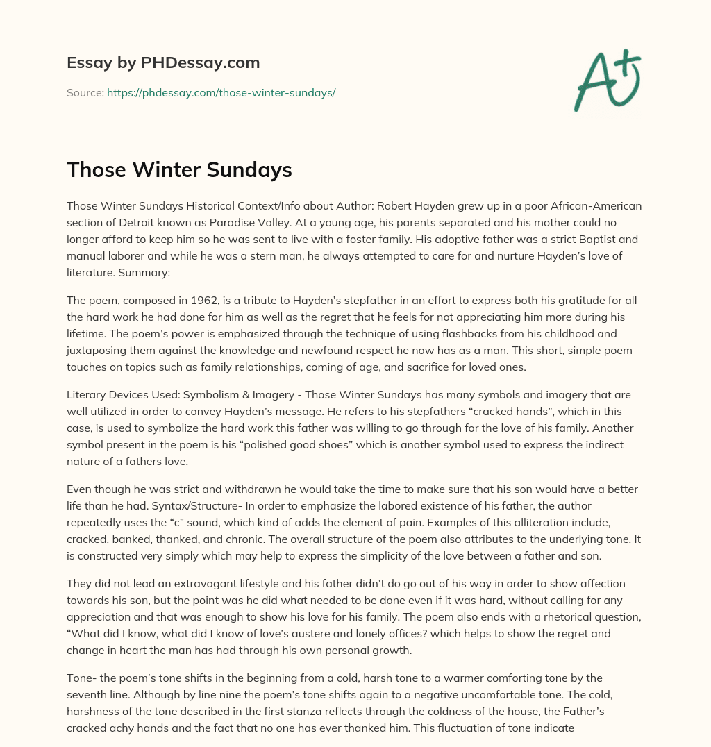 essay about those winter sundays