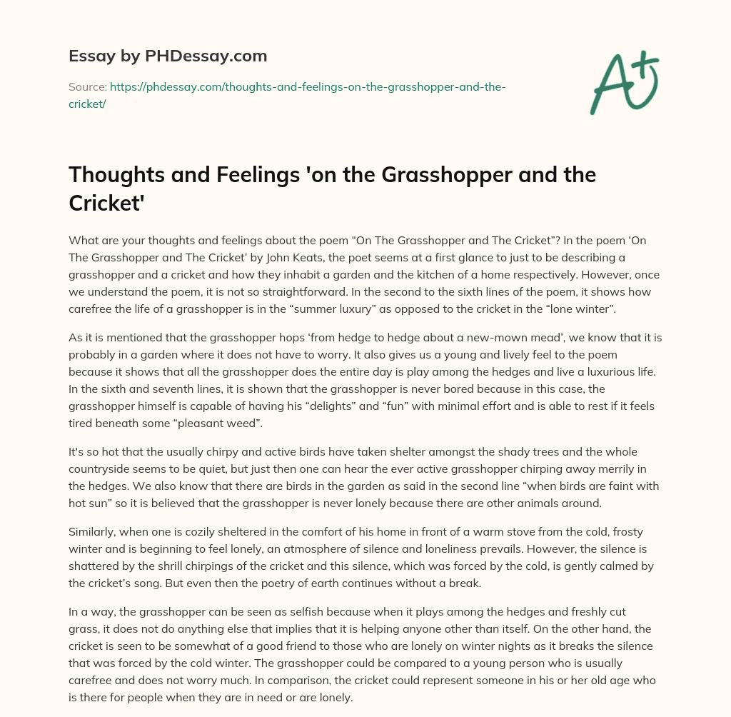 Thoughts and Feelings ‘on the Grasshopper and the Cricket’ essay