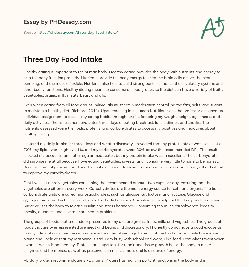 Three Day Food Intake essay