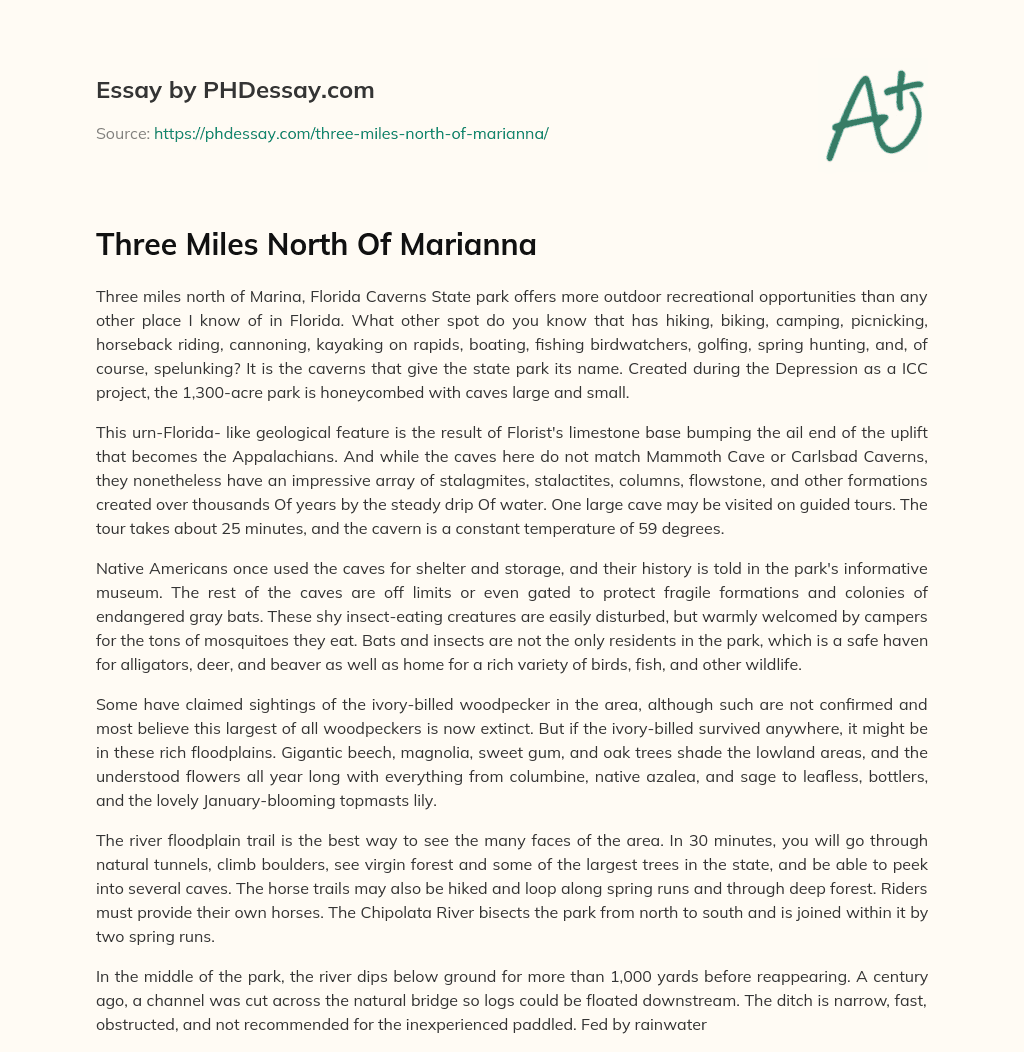 Three Miles North Of Marianna essay