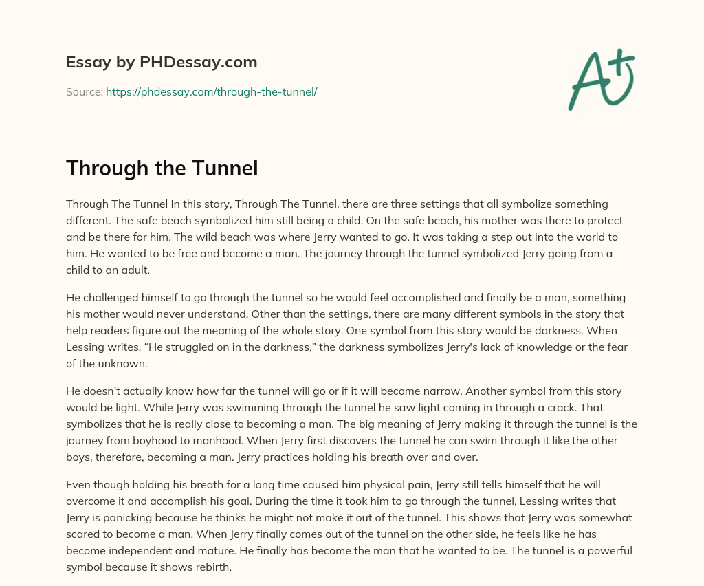 Through The Tunnel Essay Example (400 Words)