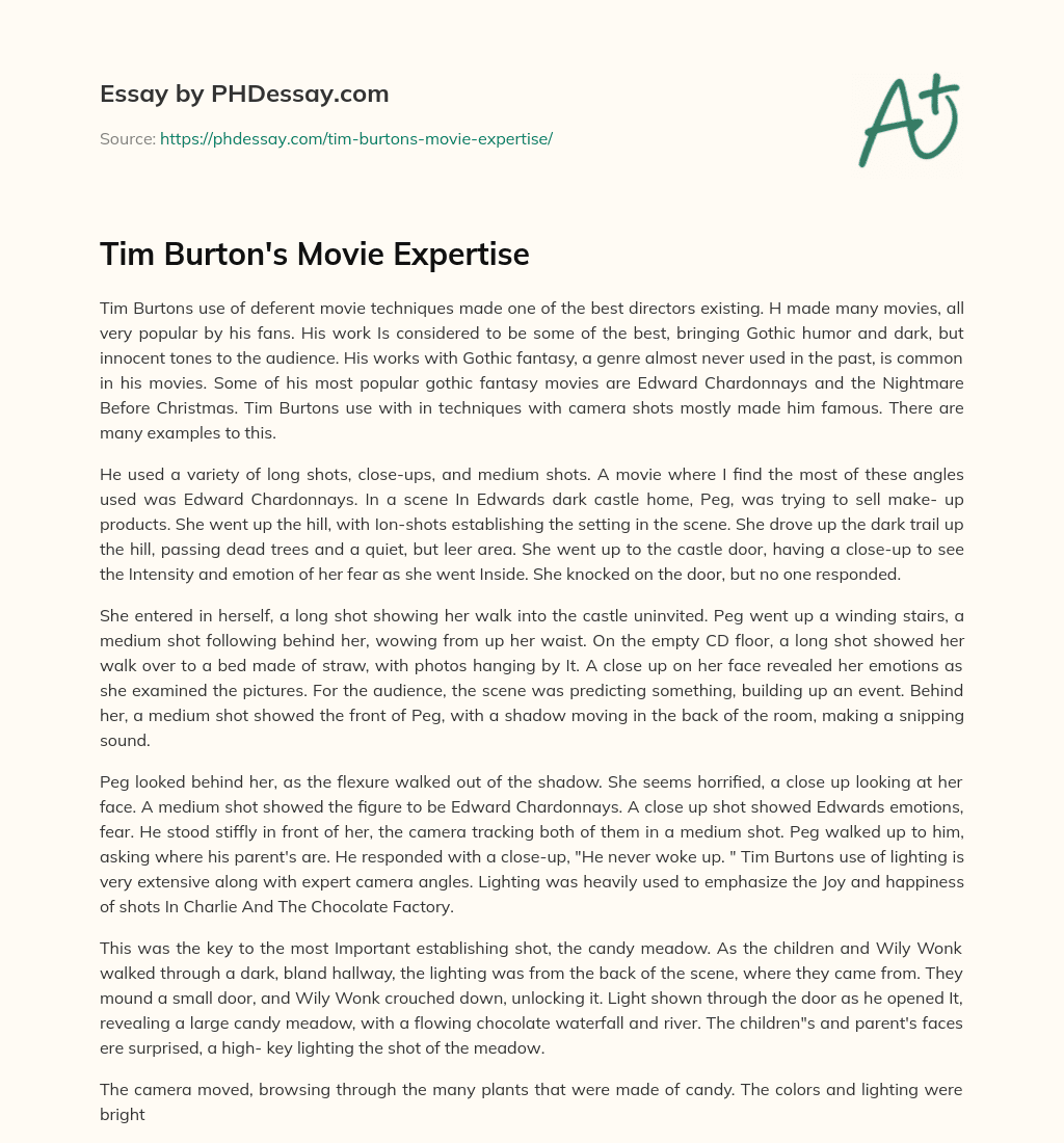 Tim Burton’s Movie Expertise essay