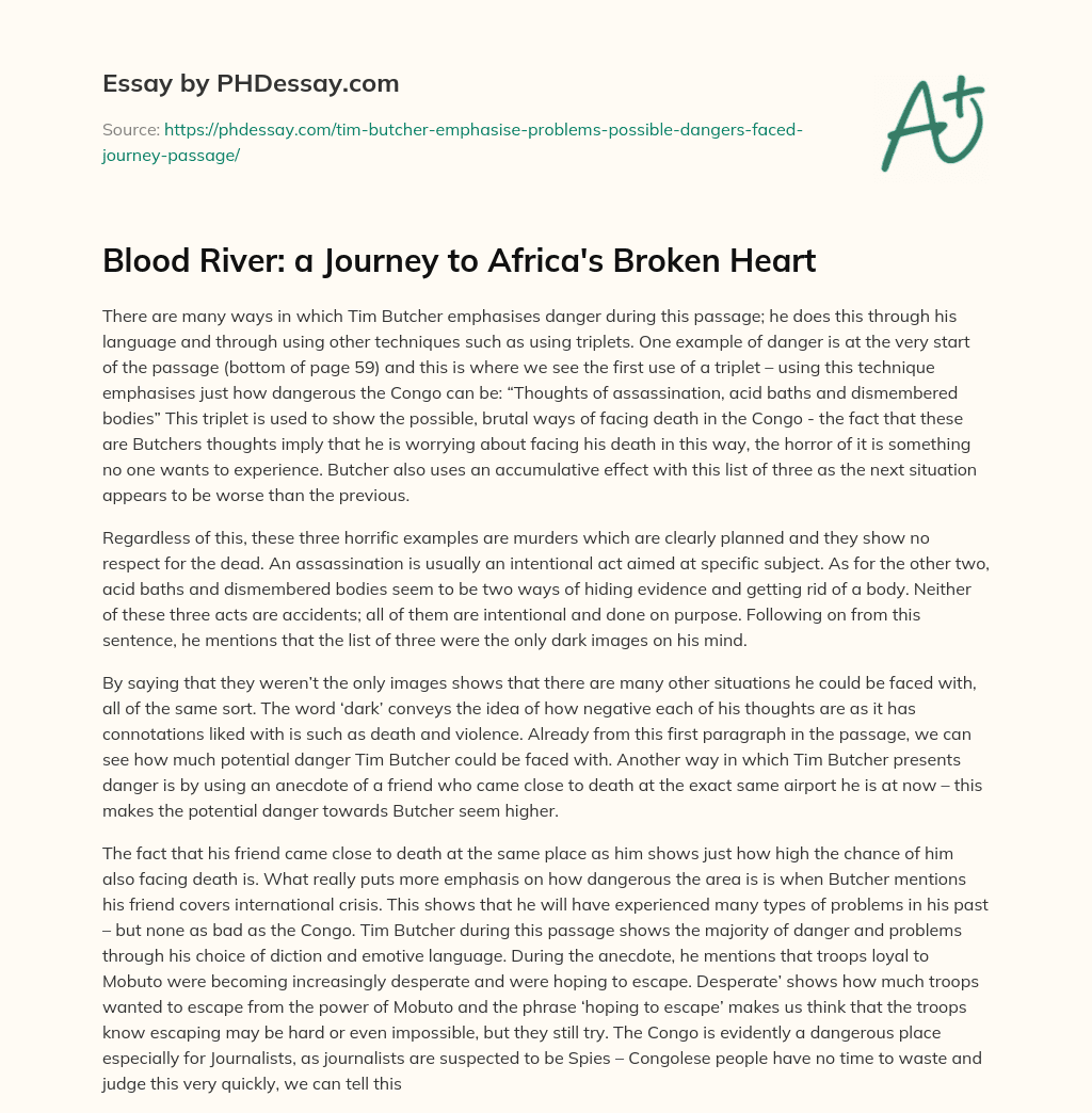 Blood River: a Journey to Africa’s Broken Heart essay
