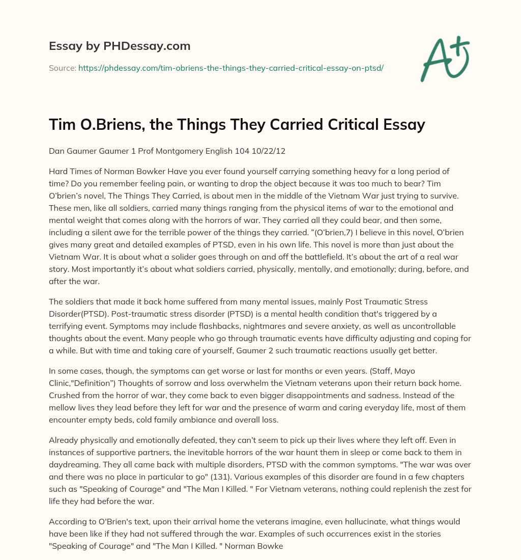Tim O.Briens, the Things They Carried Critical Essay essay