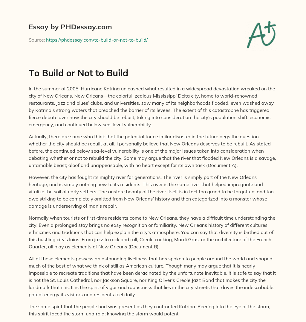 To Build or Not to Build essay