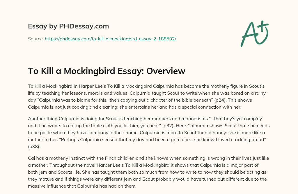 To Kill a Mockingbird Essay: Overview essay