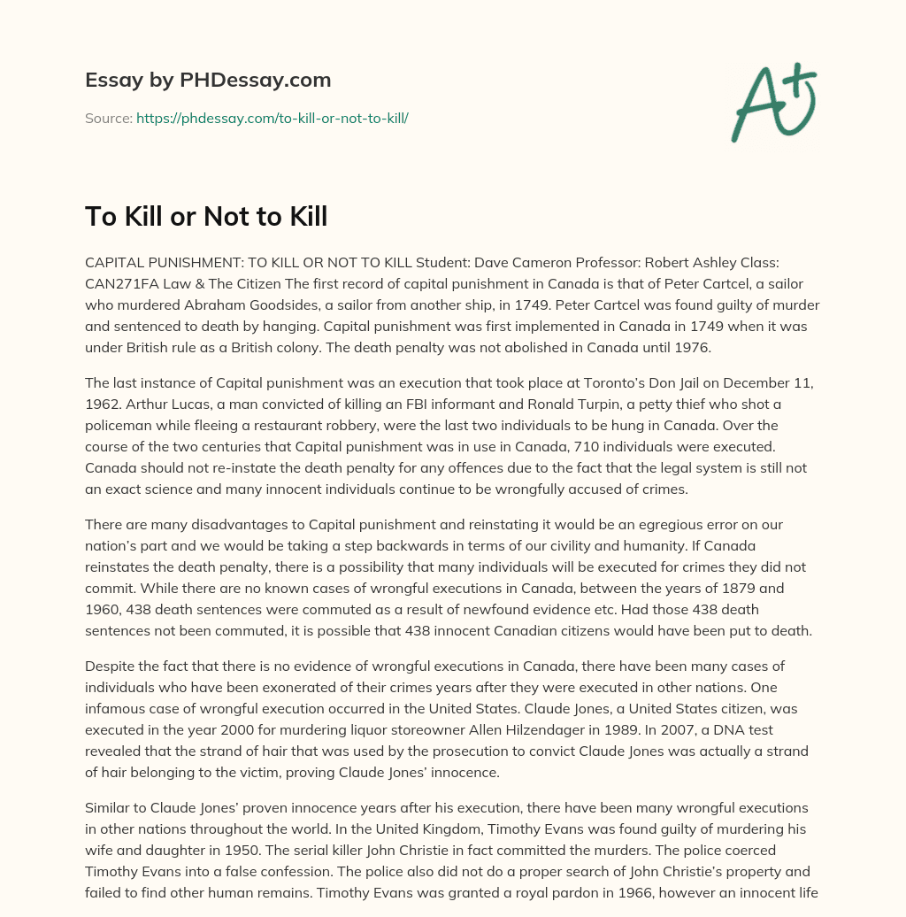 To Kill or Not to Kill essay