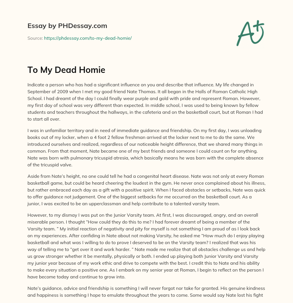 To My Dead Homie essay
