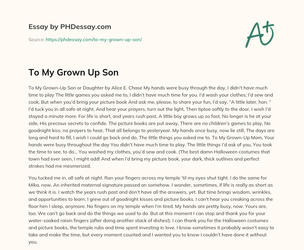 To My Grown Up Son essay
