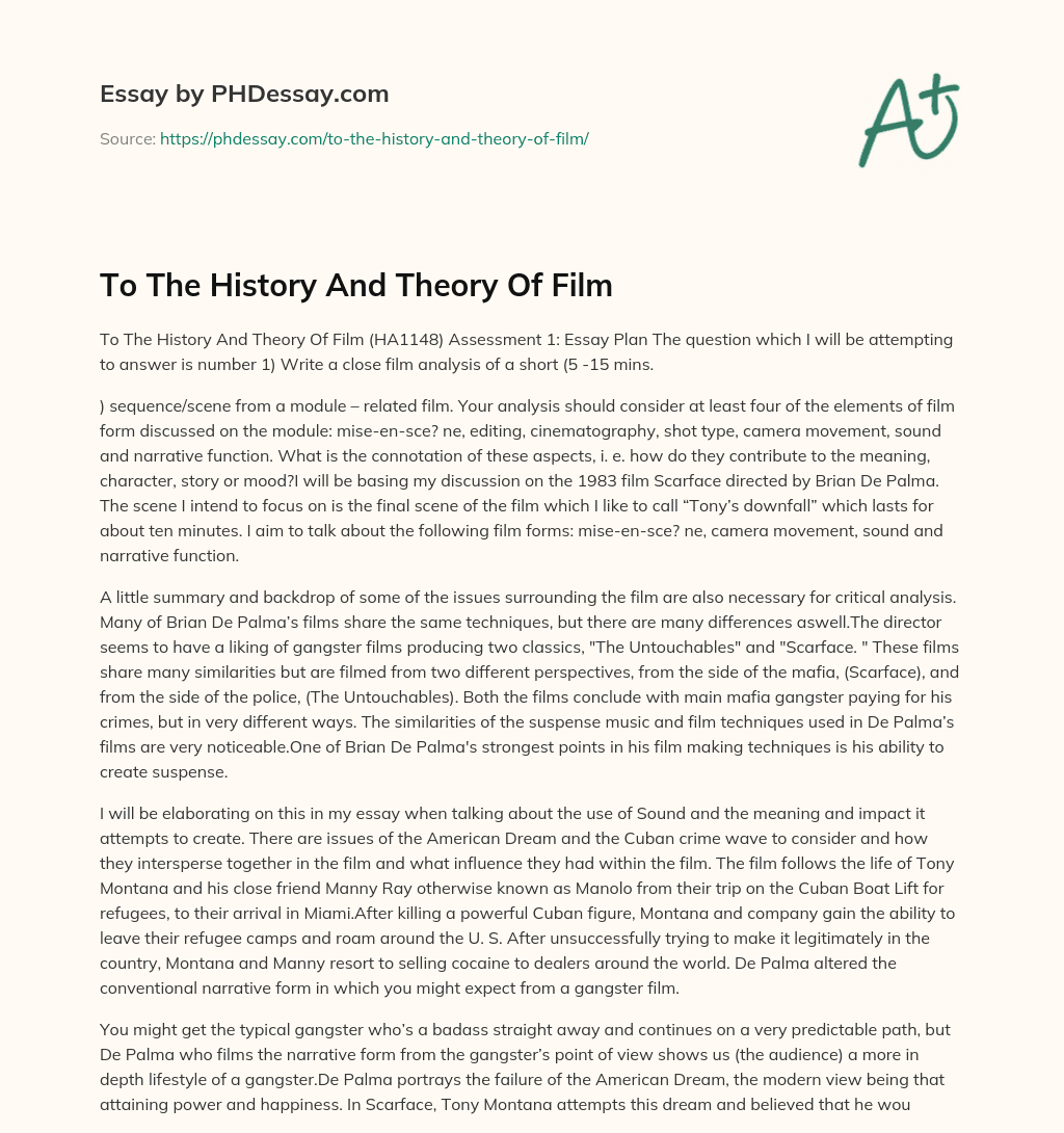 To The History And Theory Of Film essay