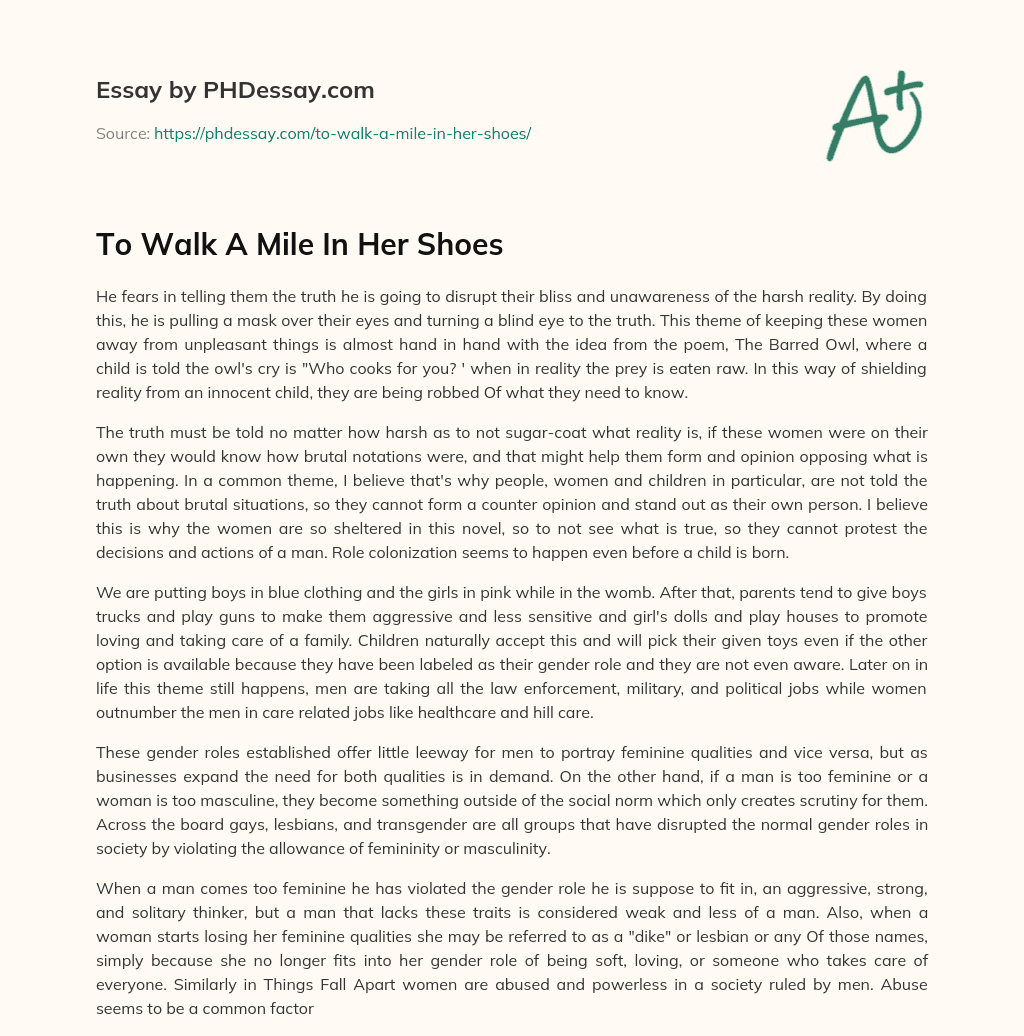 To Walk A Mile In Her Shoes essay