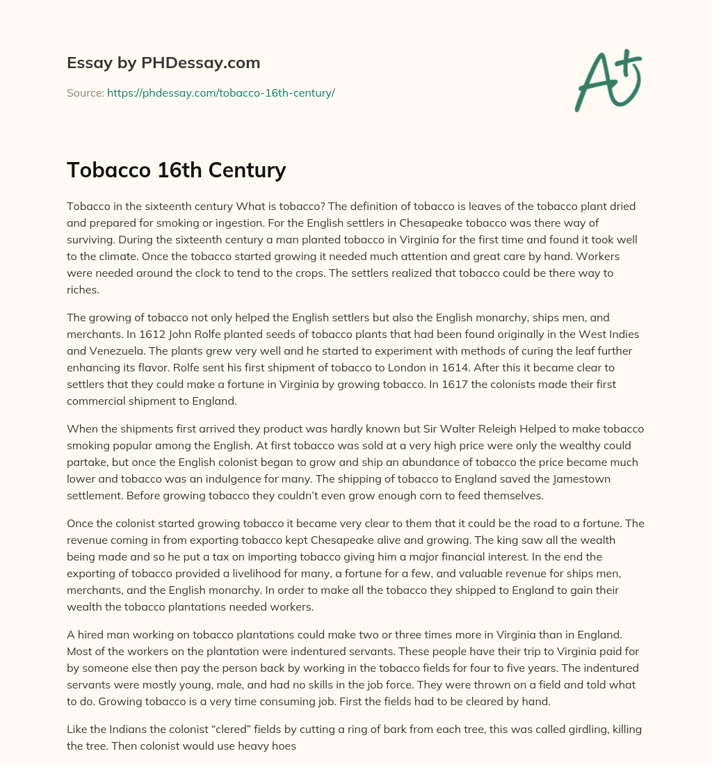 Tobacco 16th Century essay